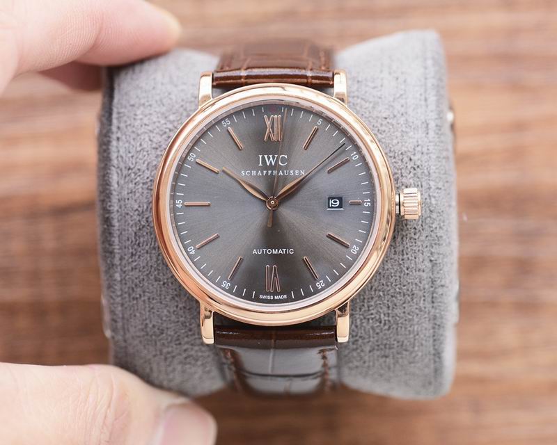 IWC 41X12mm 139 (1)