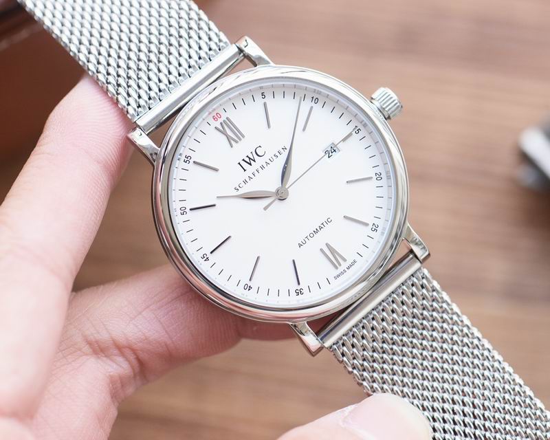 IWC 41X12mm 139 (22)