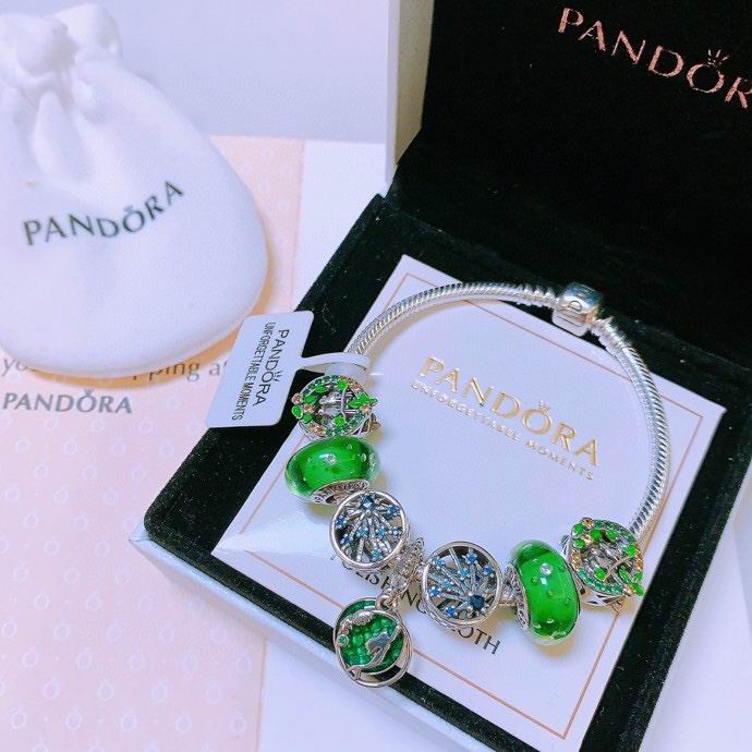 Pandora bracelet 16-21 01yxx01 (8)
