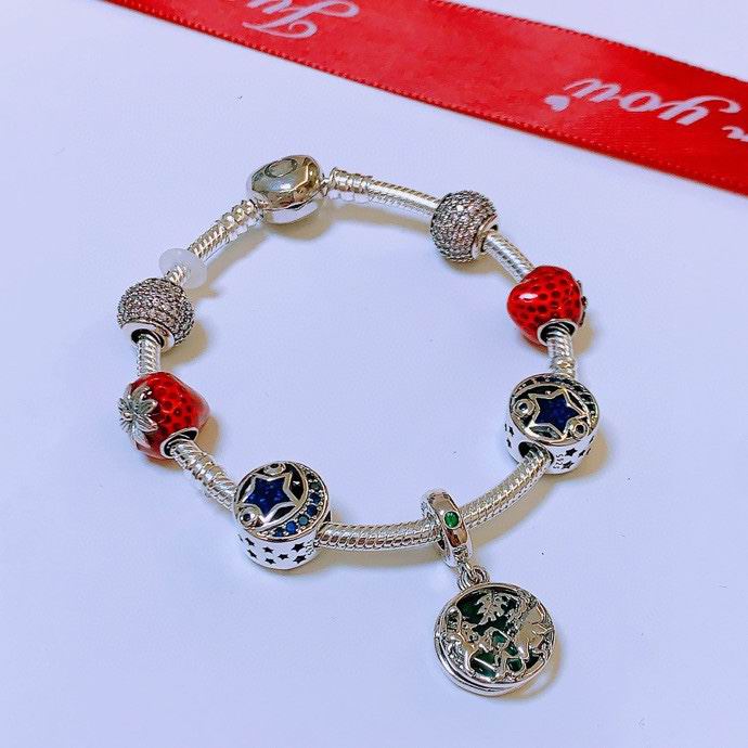 Pandora bracelet 16-21 01yxx09 (5)