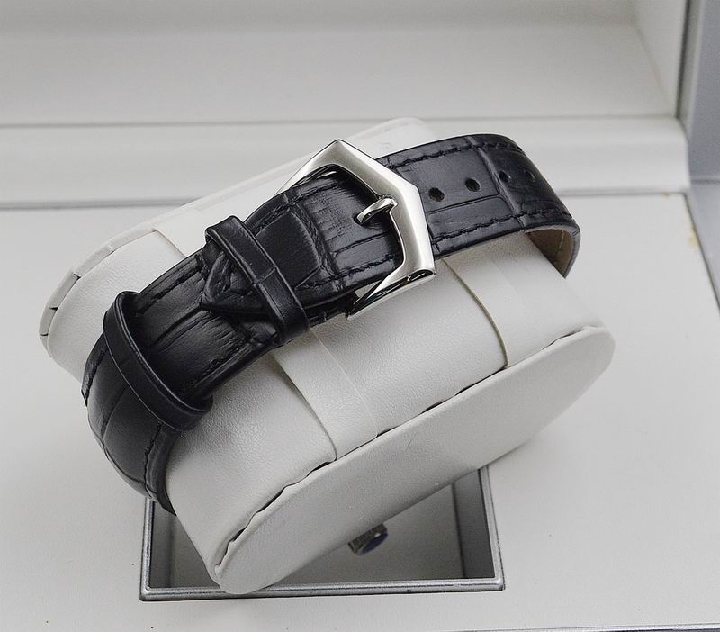 Patek Philippe 42X13mm 15 (18)