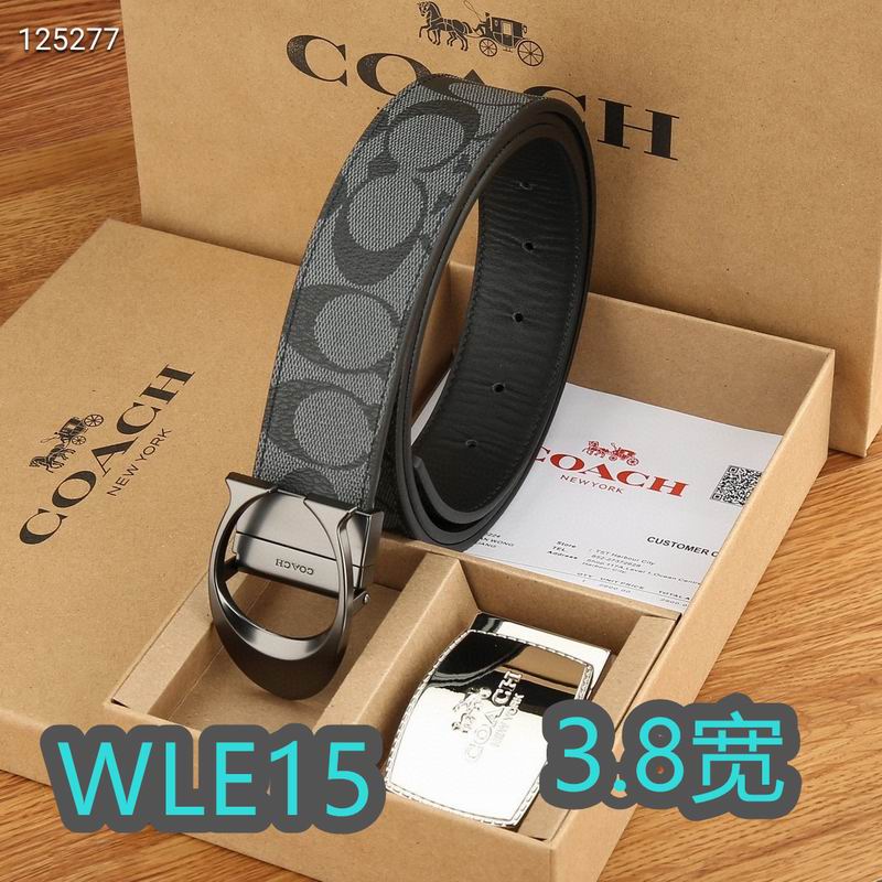 Coach belt 38mmX95-125cm XH (100)