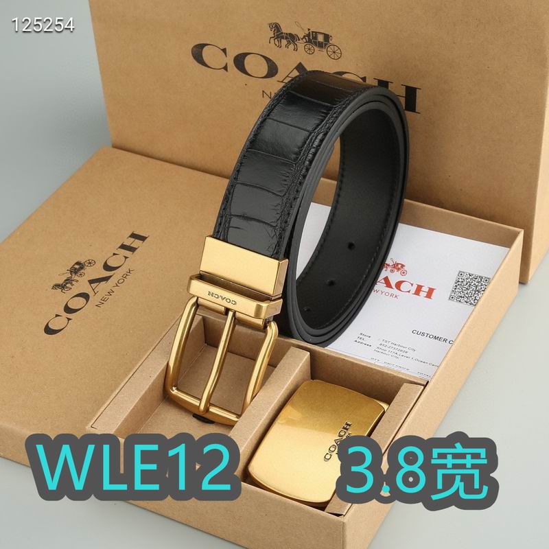 Coach belt 38mmX95-125cm XH (12)