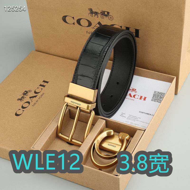 Coach belt 38mmX95-125cm XH (14)