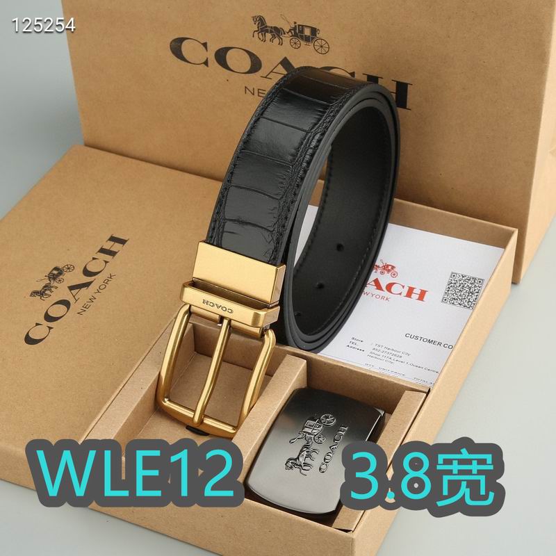 Coach belt 38mmX95-125cm XH (15)