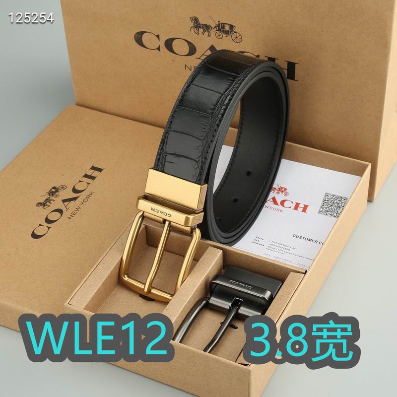 Coach belt 38mmX95-125cm XH (16)