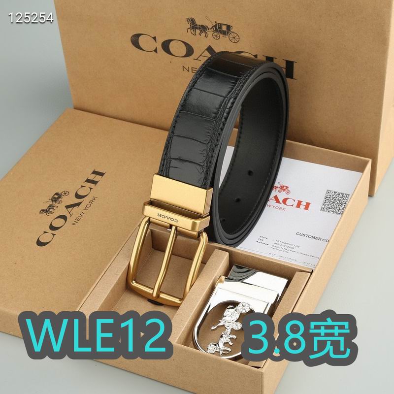 Coach belt 38mmX95-125cm XH (17)