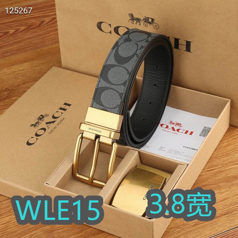 Coach belt 38mmX95-125cm XH (17)