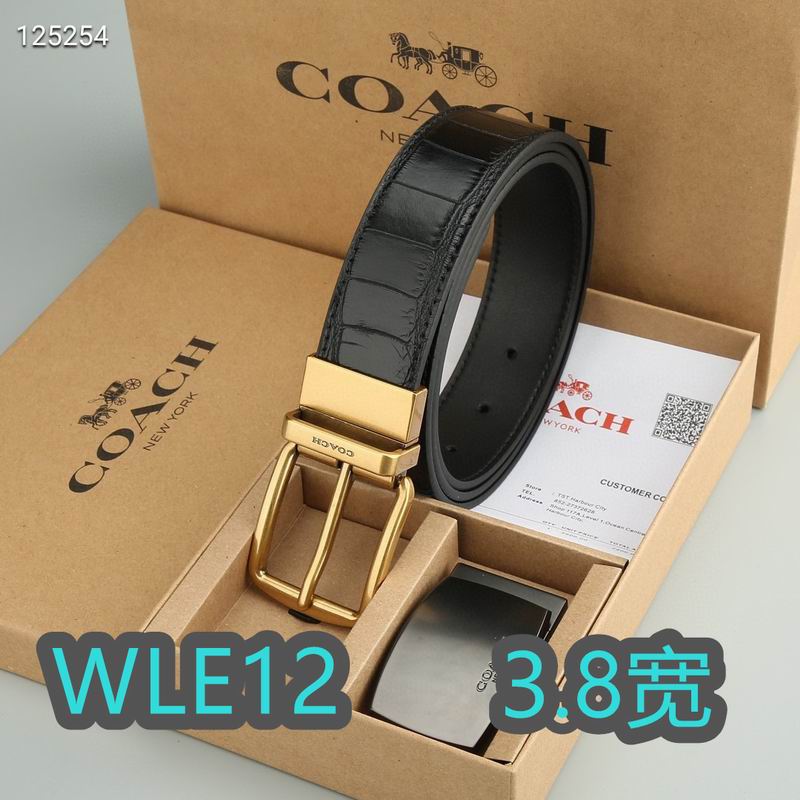 Coach belt 38mmX95-125cm XH (19)