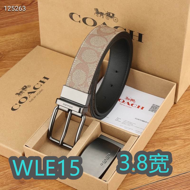 Coach belt 38mmX95-125cm XH (2)