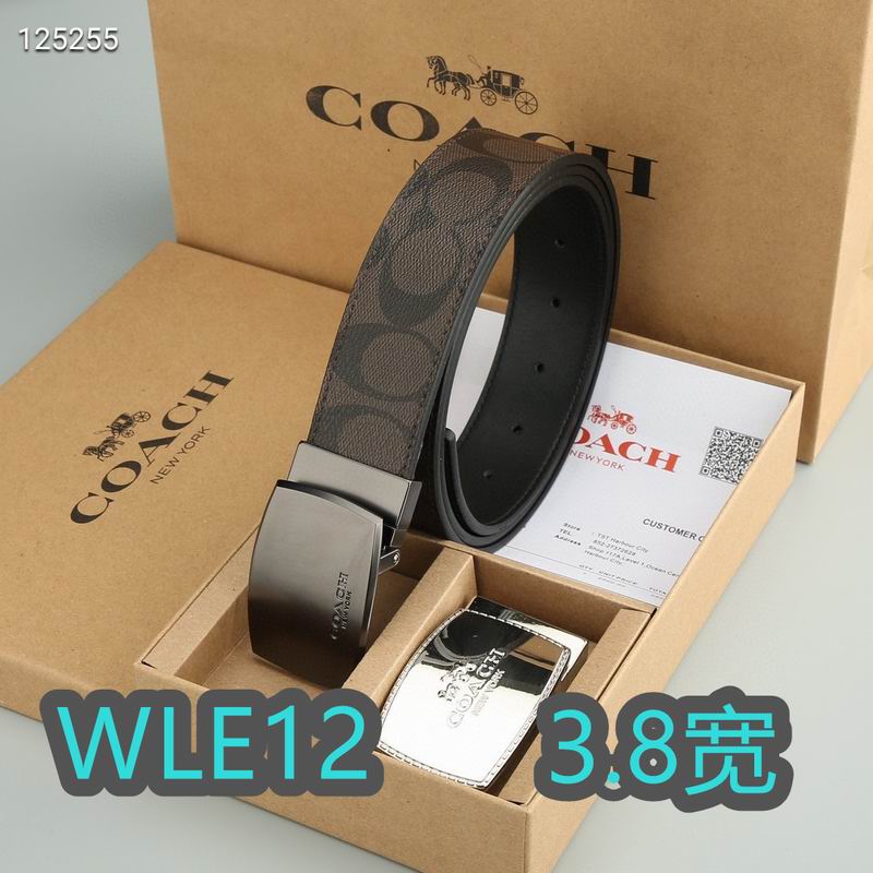 Coach belt 38mmX95-125cm XH (21)