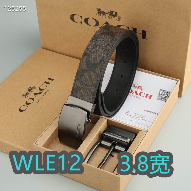 Coach belt 38mmX95-125cm XH (22)