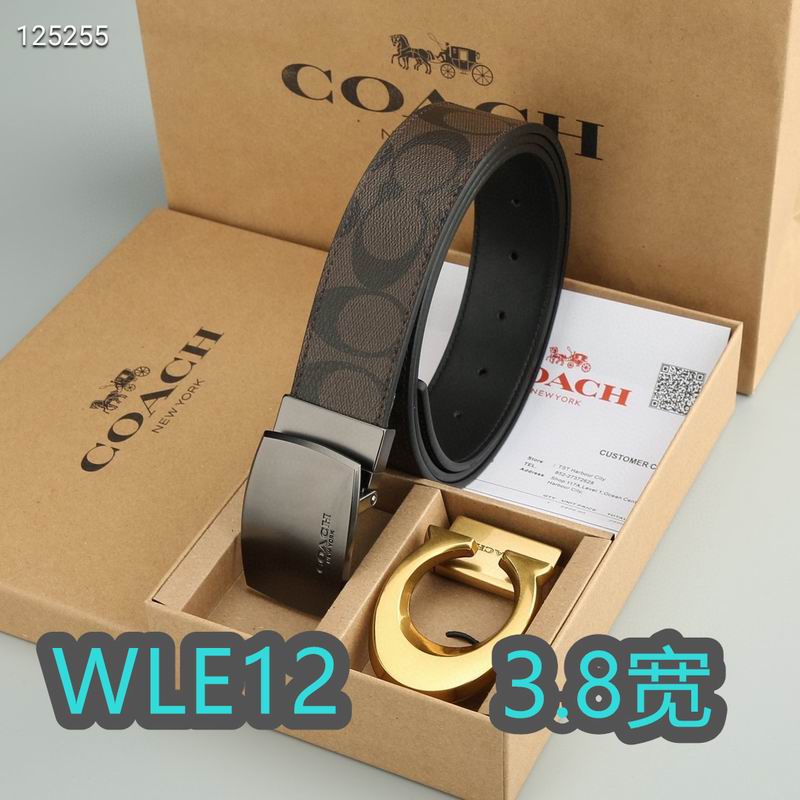 Coach belt 38mmX95-125cm XH (23)