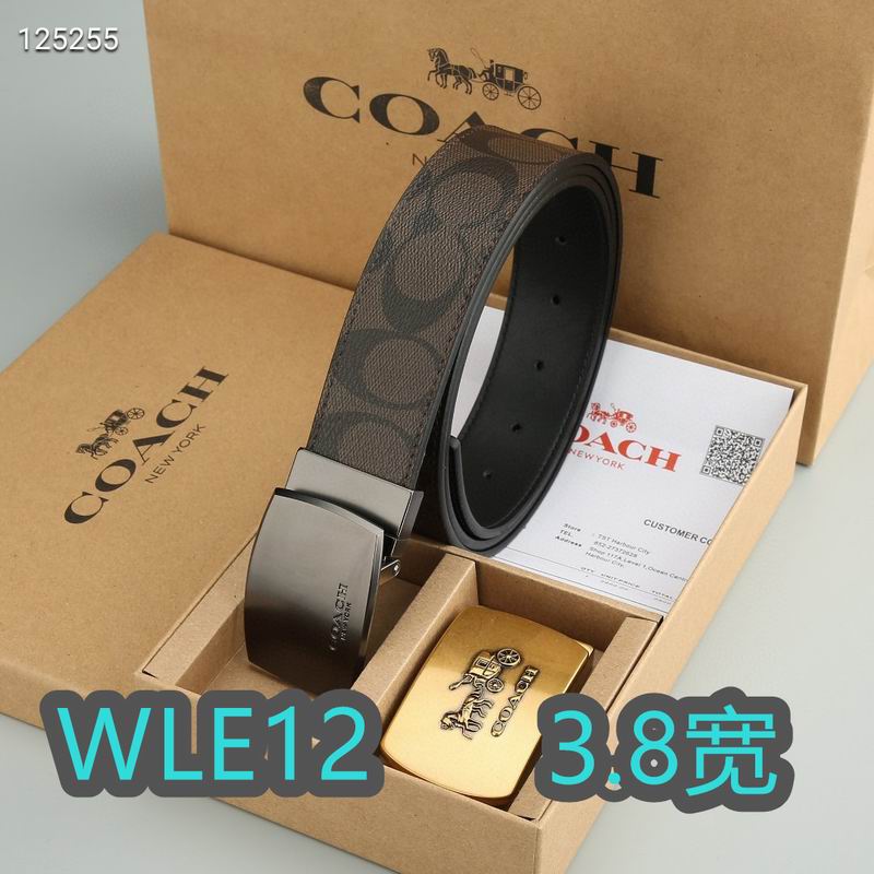 Coach belt 38mmX95-125cm XH (26)