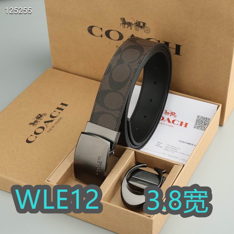 Coach belt 38mmX95-125cm XH (27)