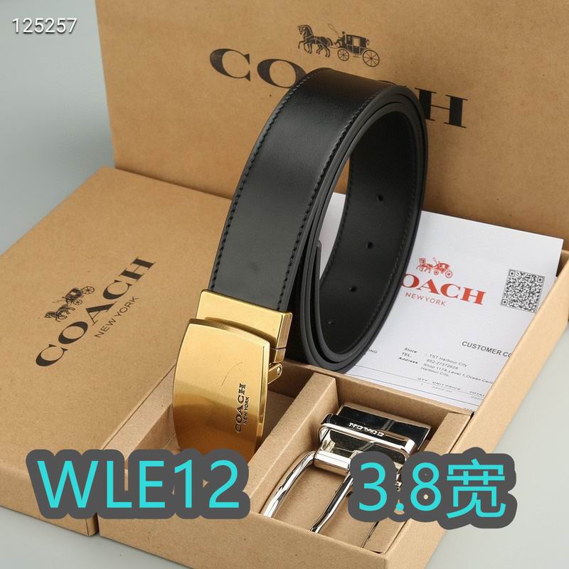 Coach belt 38mmX95-125cm XH (39)