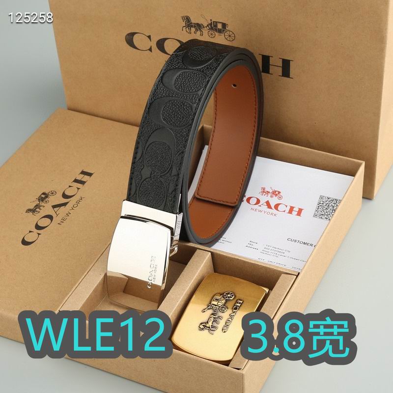 Coach belt 38mmX95-125cm XH (50)