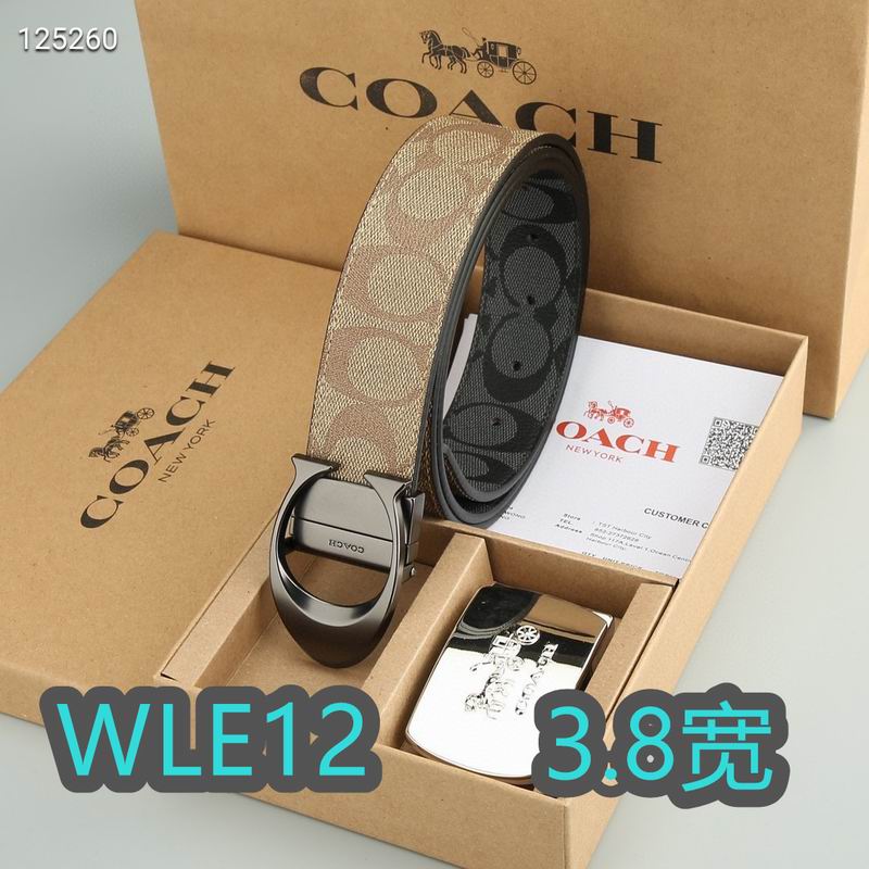 Coach belt 38mmX95-125cm XH (62)