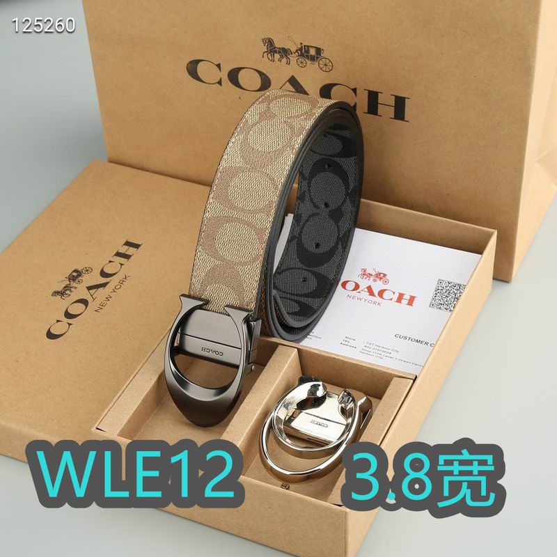 Coach belt 38mmX95-125cm XH (63)