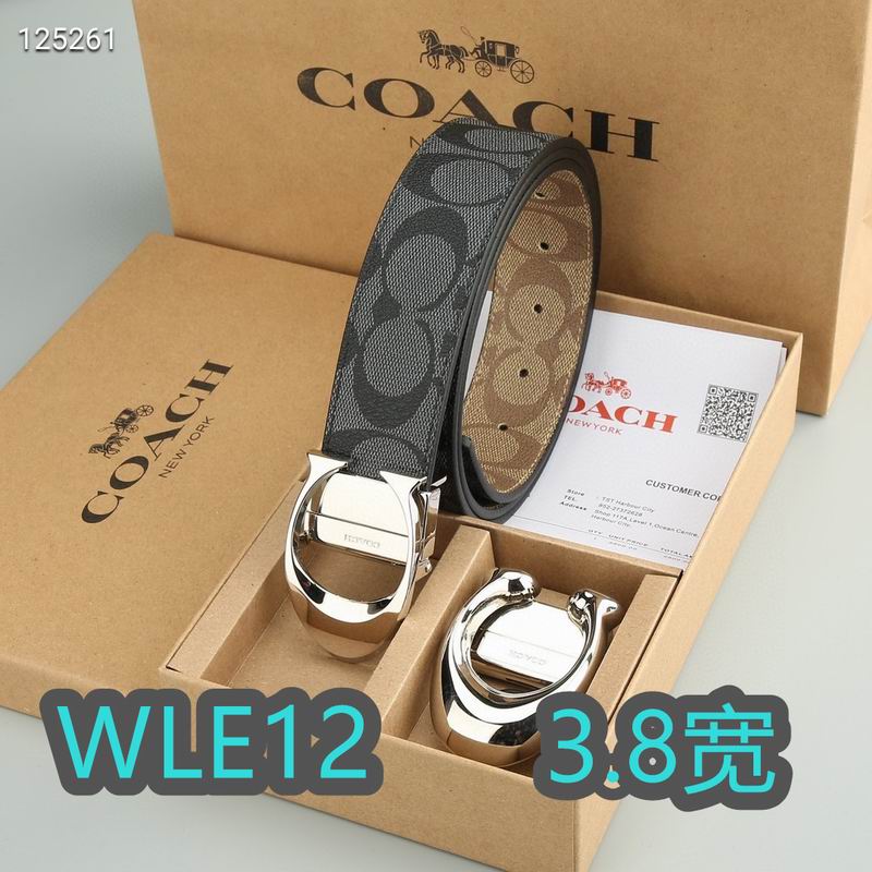 Coach belt 38mmX95-125cm XH (73)