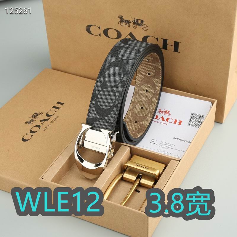 Coach belt 38mmX95-125cm XH (75)