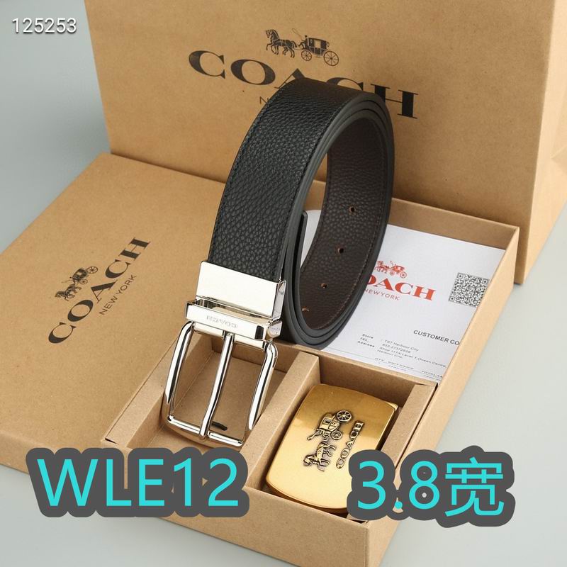 Coach belt 38mmX95-125cm XH (8)