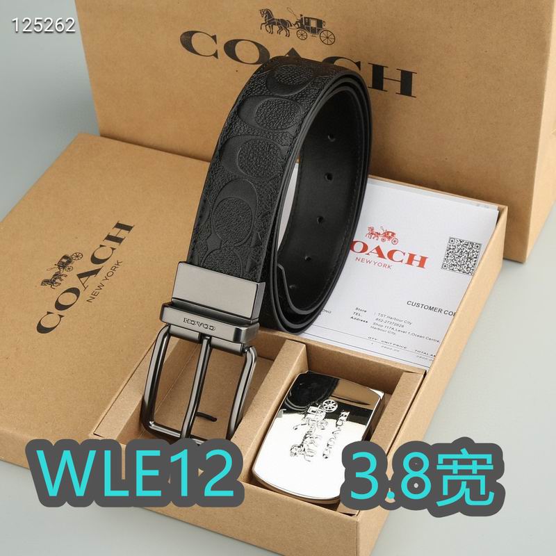 Coach belt 38mmX95-125cm XH (80)