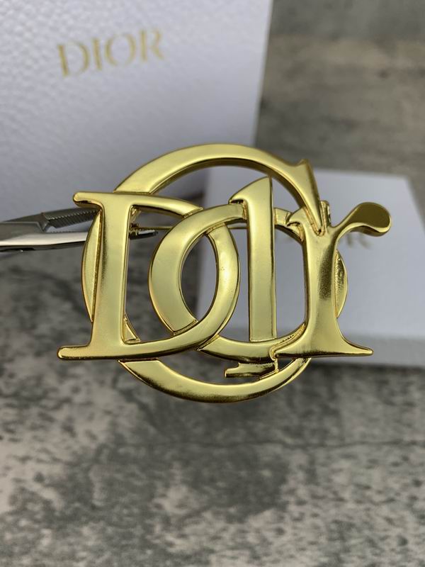 Dior Brooch 05lyr57 (3)