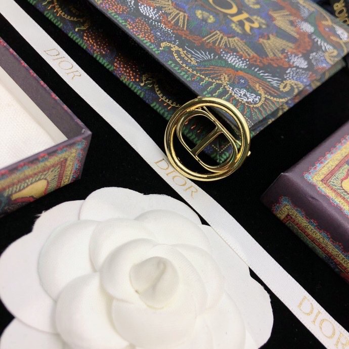 Dior Brooch 05lyr63 (5)