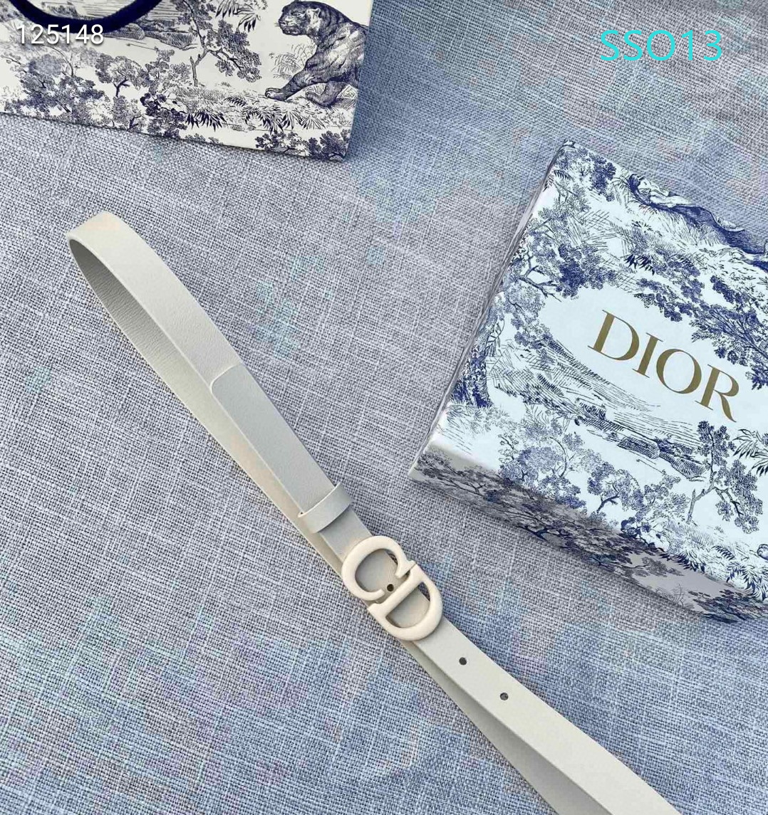 Dior belt 20mmX90X115cm XH (13)