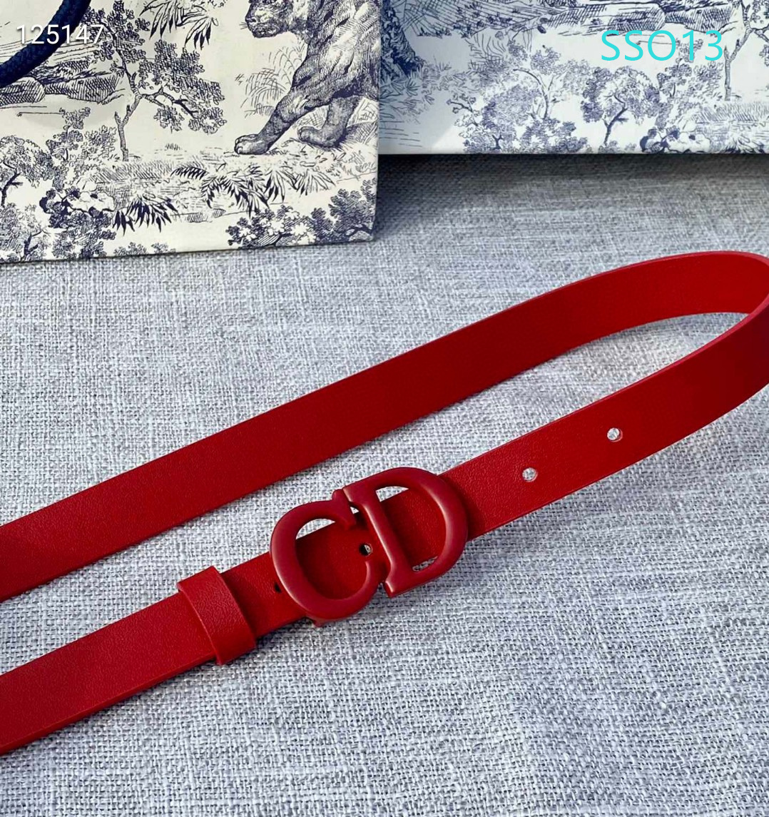 Dior belt 20mmX90X115cm XH (2)