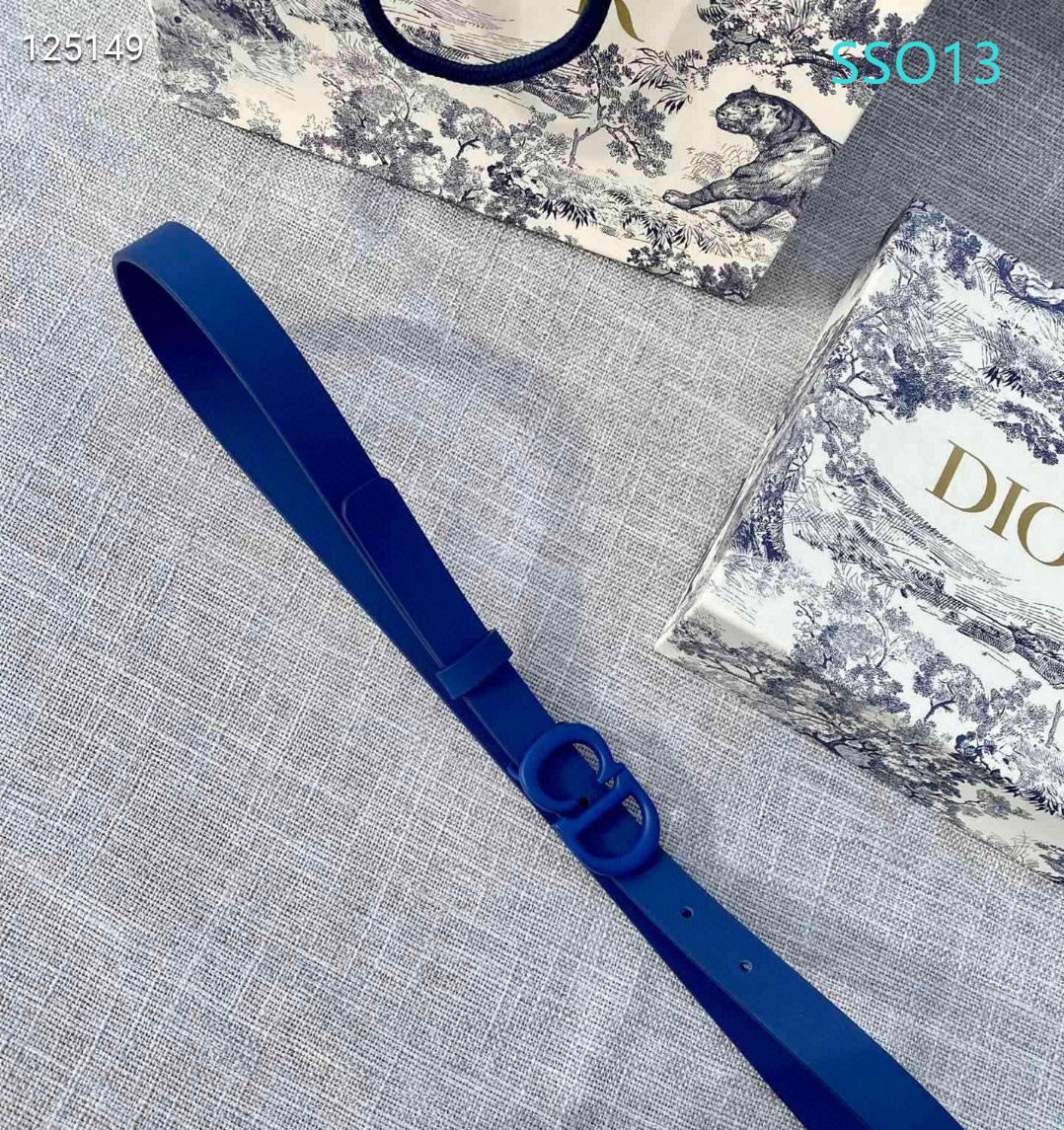 Dior belt 20mmX90X115cm XH (22)