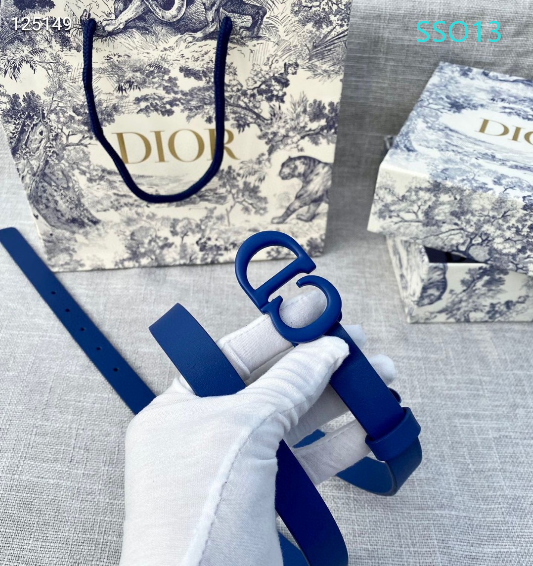 Dior belt 20mmX90X115cm XH (23)