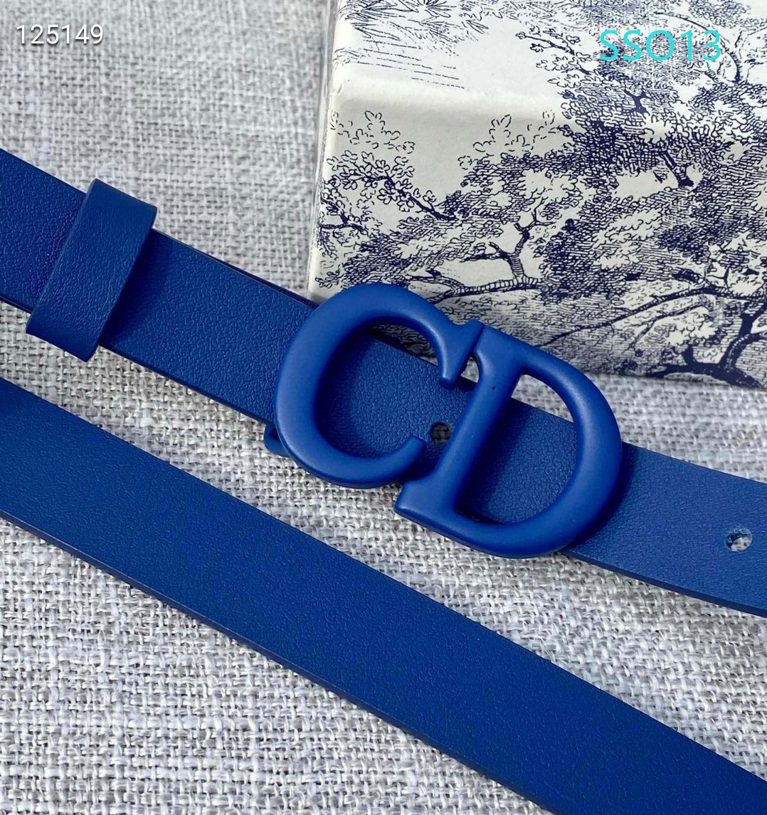 Dior belt 20mmX90X115cm XH (24)