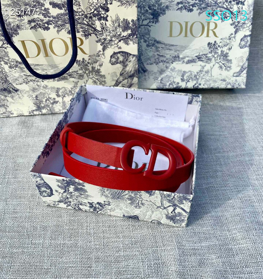 Dior belt 20mmX90X115cm XH (4)