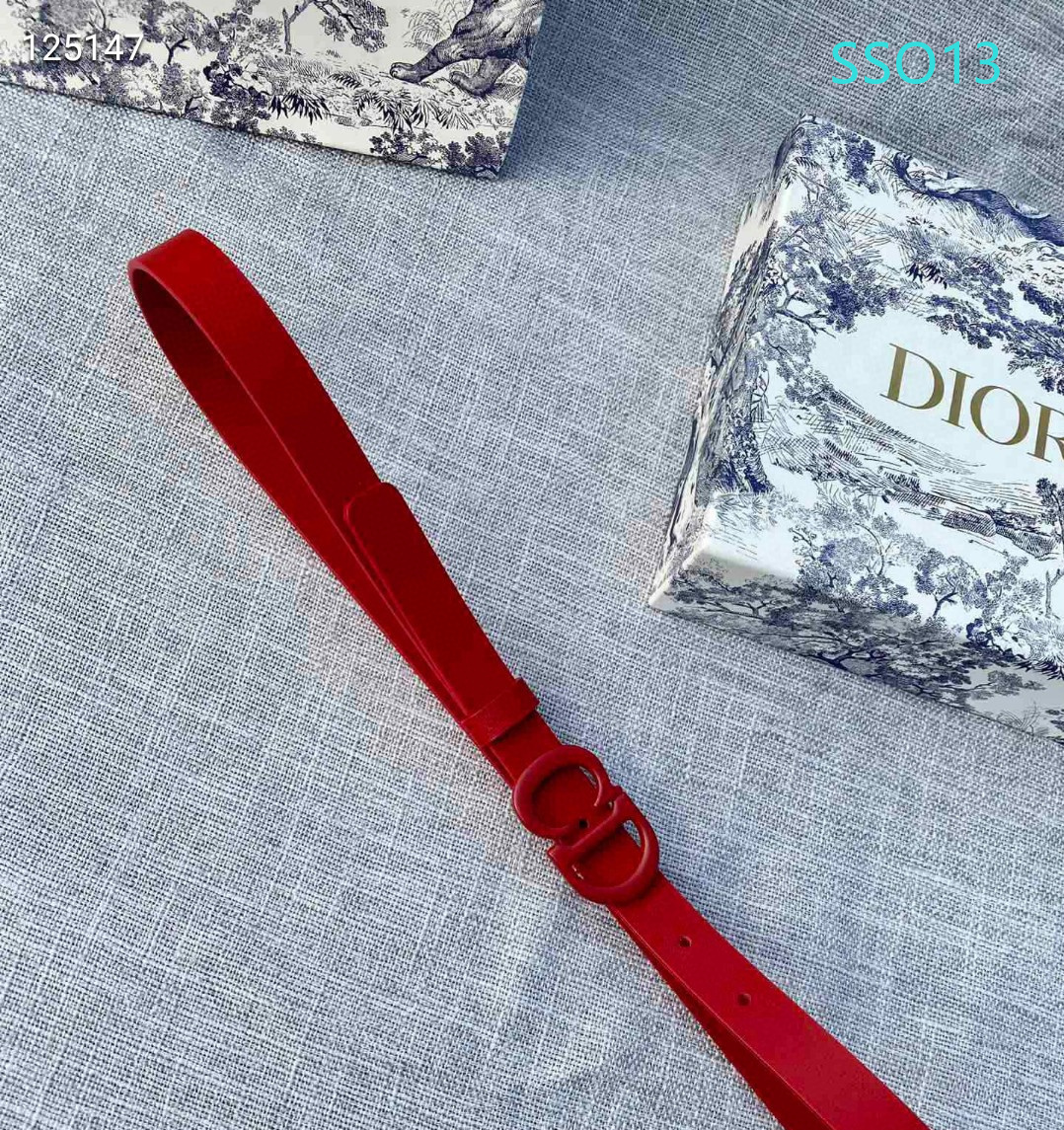 Dior belt 20mmX90X115cm XH (5)