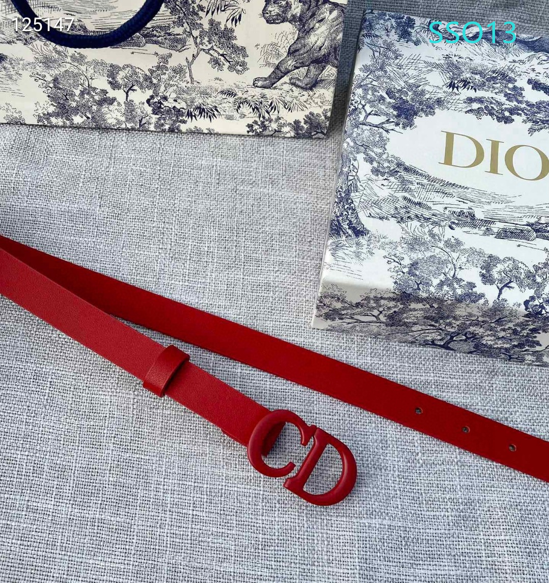 Dior belt 20mmX90X115cm XH (9)