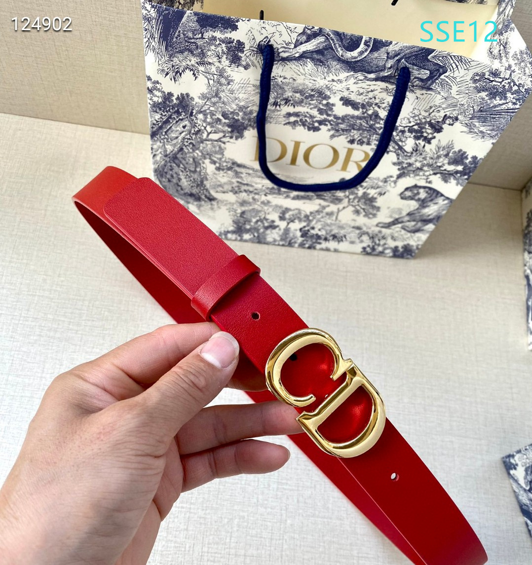 Dior belt 30mmX95-115cm XH (10)