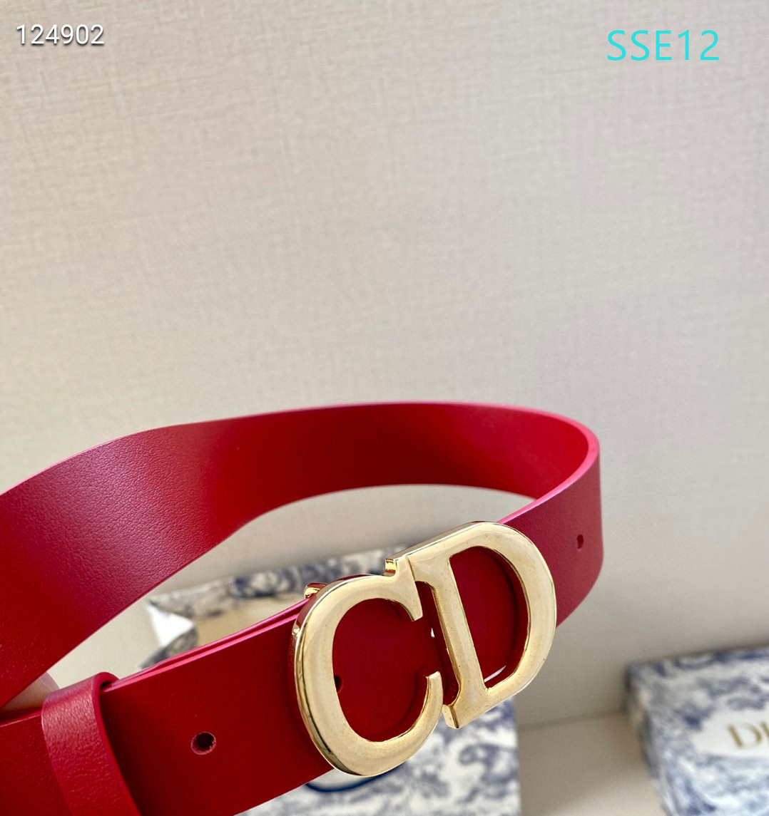 Dior belt 30mmX95-115cm XH (11)