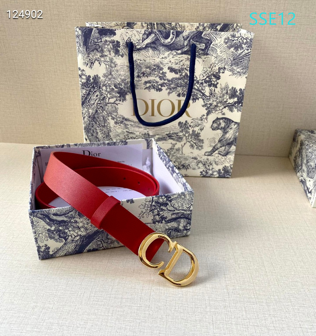 Dior belt 30mmX95-115cm XH (13)