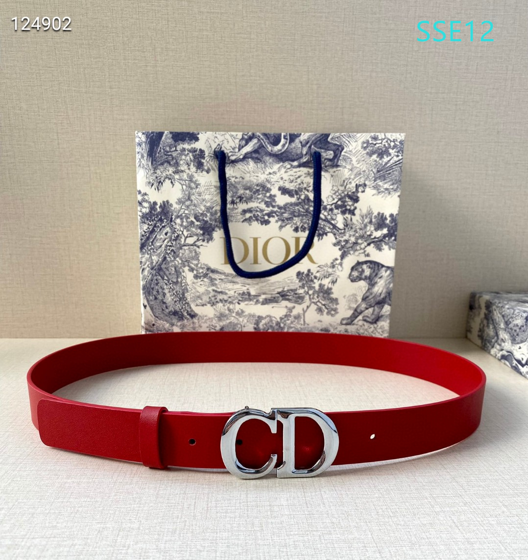 Dior belt 30mmX95-115cm XH (14)