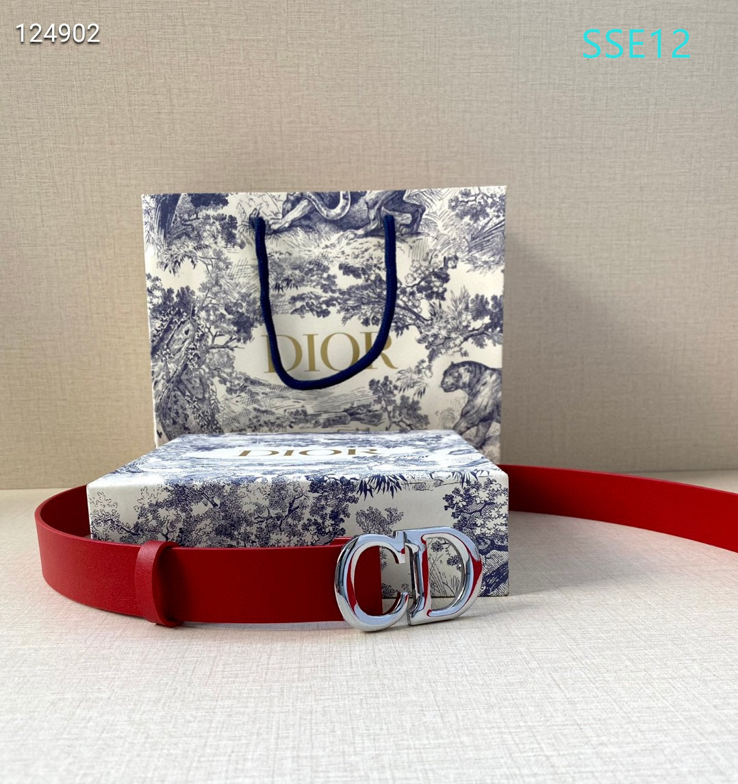 Dior belt 30mmX95-115cm XH (16)