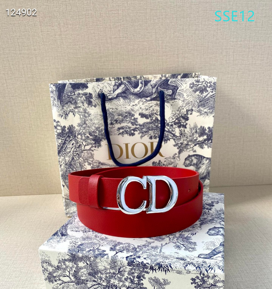 Dior belt 30mmX95-115cm XH (17)
