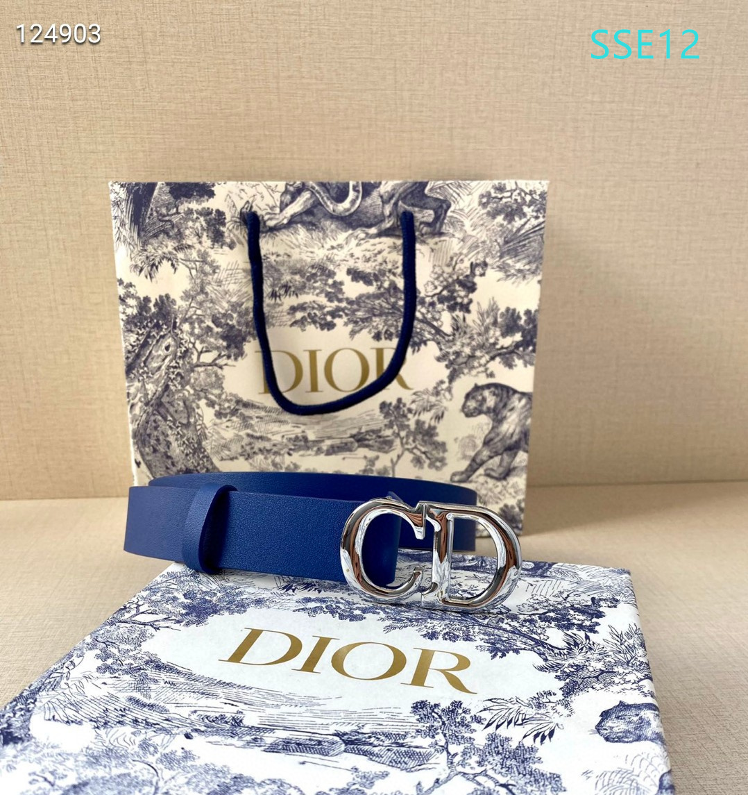 Dior belt 30mmX95-115cm XH (21)