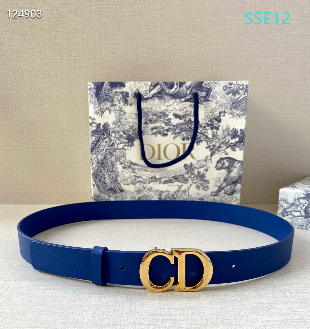 Dior belt 30mmX95-115cm XH (23)