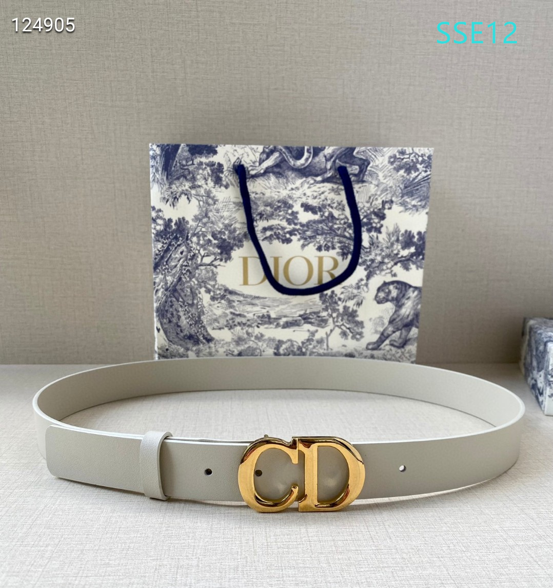Dior belt 30mmX95-115cm XH (41)