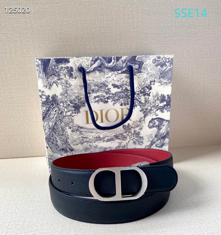 Dior belt 35mX95-125cm XH (15)