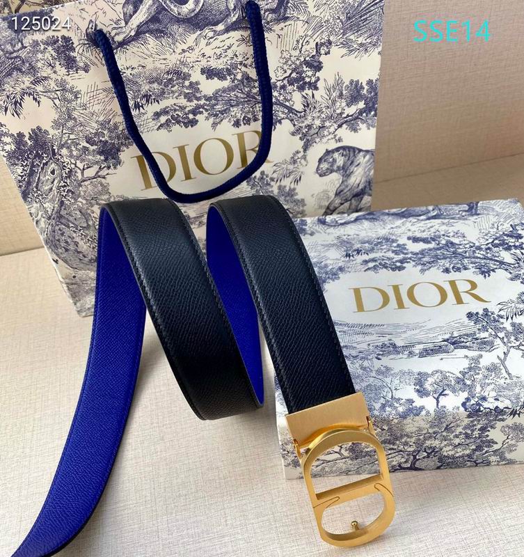Dior belt 35mX95-125cm XH (31)