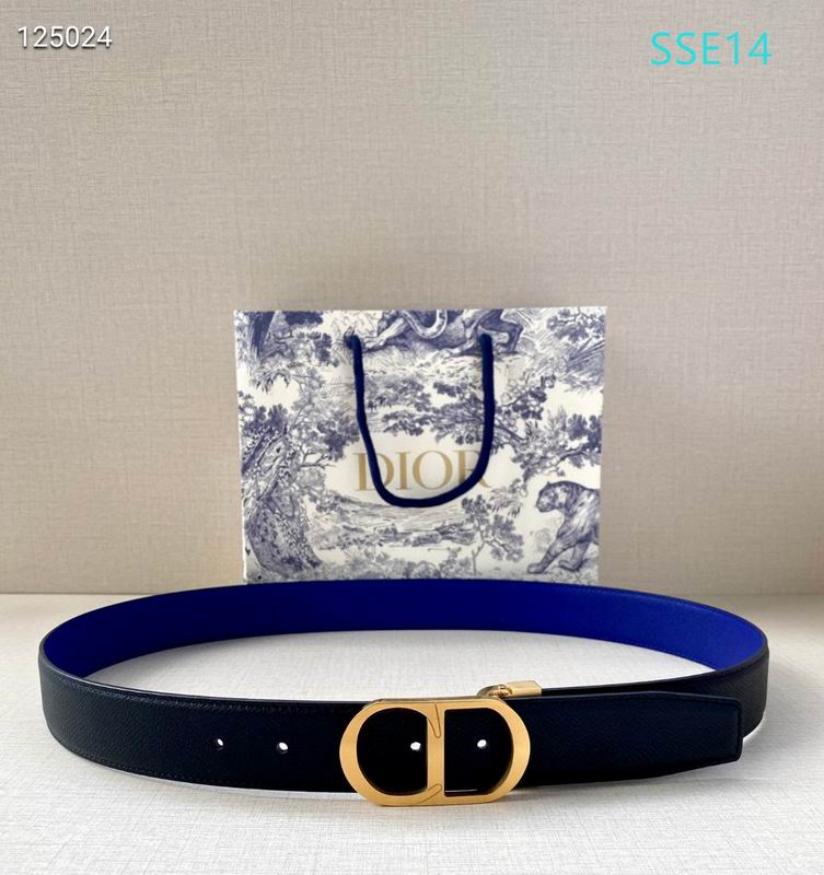 Dior belt 35mX95-125cm XH (32)