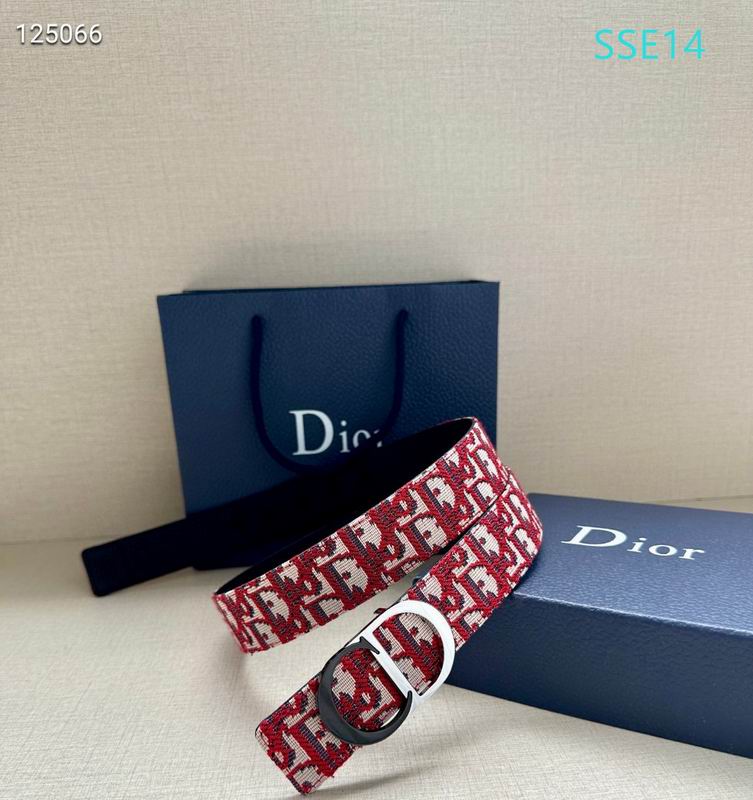 Dior belt 35mX95-125cm XH (49)